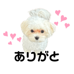 akika_20250804225310