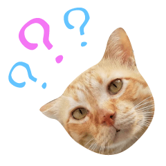 คุณพิสุทธิ์