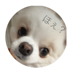 everyday life Part two