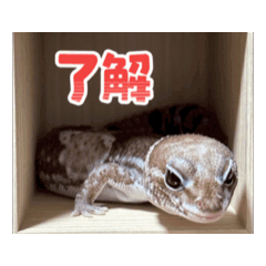 sk_20250805183106