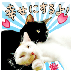 Love Meow (Japan)