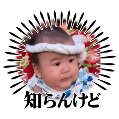 Yoshi__planar_20250805003925