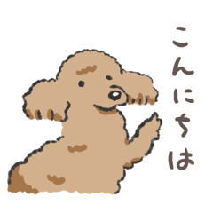 みんなだいすきトイプーさん