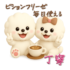 ビションフリーゼ毎日使える♪丁寧⭐︎立体