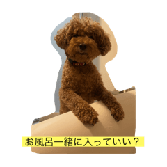 daichi_20250805124601