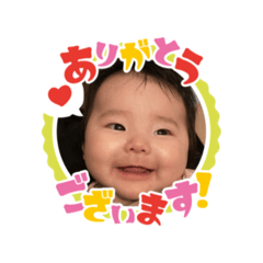 koto_20250805