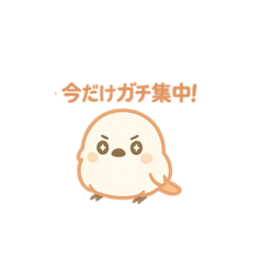 シマエナガのエナまる。受験生バージョン