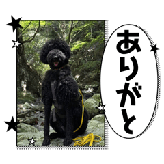 Yukari_20250805134451