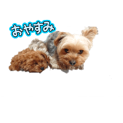 M_20250805115121