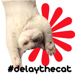 Delay and the Ghost Cats