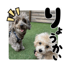 fuuna_20250805155711