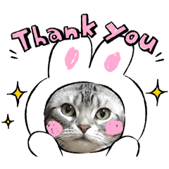 Kamomi_20250805191502