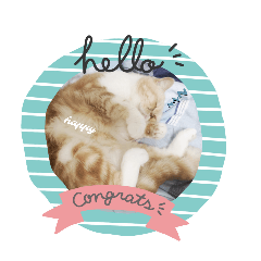 小猫的實用小貼圖