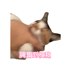 さつきのテクスチャ❤️