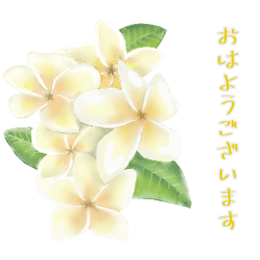 Sunny_20250805213011