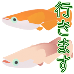 Electrical medaka 12