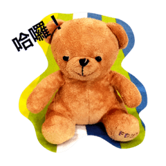 happy cute bear life