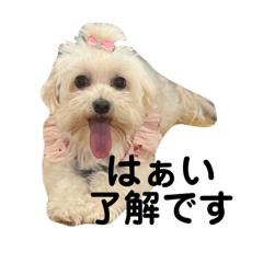 sachi_20250804054108