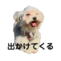 sachi_20250804054254