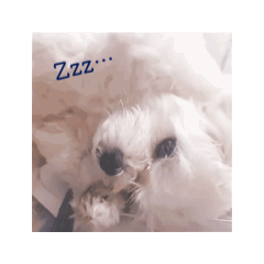 Lulu-chann
