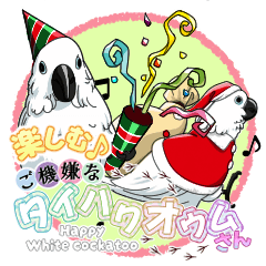 楽しむ♪ご機嫌なタイハクオウムさん