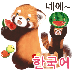 Pohe the Red Panda/Friends Daily/Korean