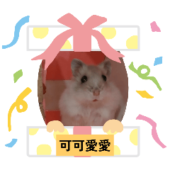 可愛鼠寶寶米菲貼圖