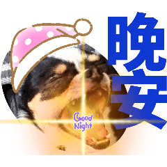 Beautiful girl_20250806110131