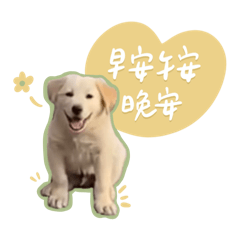 阿肥與發糕狗狗