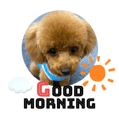 arisa_20250806144643