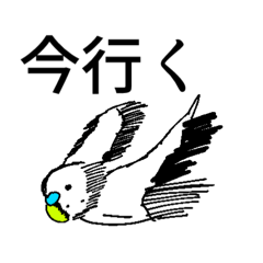 Maimu_20250806154953