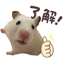 NATSUMI_20250806162412