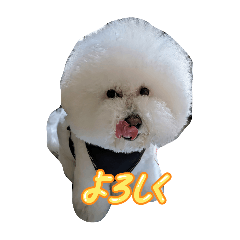 TAKASHI_20250806185018