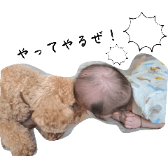 shiho_20250806185707