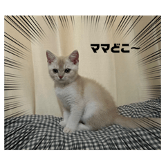 hina mama_20250806190908