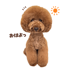 misaki_20250806033428