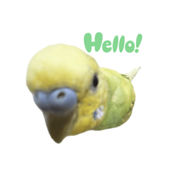 m_20250806055325