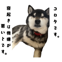 Haruka_20250806165924