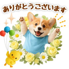 飛び出す癒しコーギーのラフな敬語