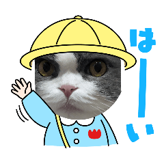 sakura_20250806201324