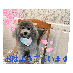 動く！激かわいいクリシェ2025.08