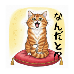 The Fluffy Tabby's Moods