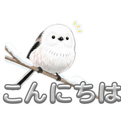 Long-tailed Tit bird