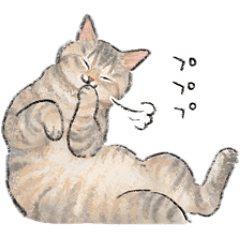 うちの子パステル麦わら猫！(にほんねこ)