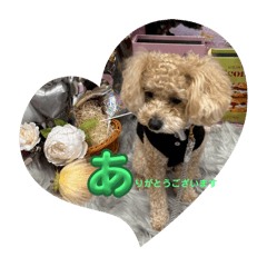 freddie_20250803191400