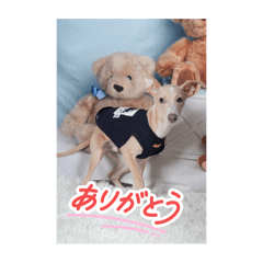 yuto19