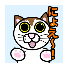 kana_20250806204912
