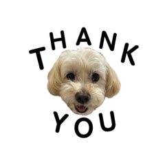 KONTARO_20250806205109