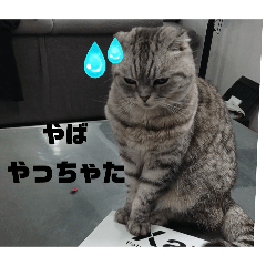 melon_20250806204622