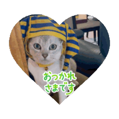 Lily_20250806180714